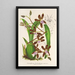Reproduktion des Gemäldes Odontoglossum reichenheimii - Charles Antoine Lemaire