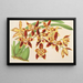 Odontoglossum luteopurpureum var. sceptrum - Charles Antoine Lemaire — gerahmtes Bild an der Wand