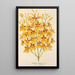 Oncidium aurosum - Charles Antoine Lemaire — gerahmtes Bild an der Wand