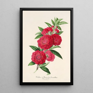 Charles Antoine Lemaire - Pecher a fleurs de Camellia.webp