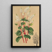Peperomia resediflora - Charles Antoine Lemaire — gerahmtes Bild an der Wand