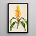 Pitcairnia andreana - Charles Antoine Lemaire — gerahmtes Bild an der Wand