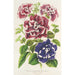 Petunia inimitabilis hybride flore plein - Charles Antoine Lemaire — Ansicht des Kunstwerks
