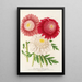 Pyrethrum - Charles Antoine Lemaire — gerahmtes Bild an der Wand