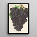 Hamburgs neuer Muskat-Raisin - Charles Antoine Lemaire — gerahmtes Bild an der Wand