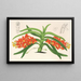 Saccolabium curvifolium - Charles Antoine Lemaire — gerahmtes Bild an der Wand
