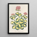 Sedum Sieboldii - Charles Antoine Lemaire — gerahmtes Bild an der Wand