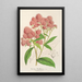 Reproduktion des Gemäldes Spiraea Nobleana - Charles Antoine Lemaire