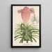 Reproduktion des Gemäldes Tillandsia Lindeni - Charles Antoine Lemaire