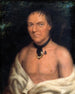 Cosneboin - Charles Bird King — Ansicht des Kunstwerks