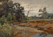 Holz von Indiana - Charles Conner — Ansicht des Kunstwerks