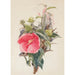 Reproduktion des Gemäldes Hibiskus-Gemälde - Charles Demuth