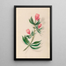 Blumen- und tropische Fruchtzeichnungen aus Südamerika Pl14 - Charles Empson — gerahmtes Bild an der Wand