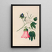 Zeichnungen von tropischen Blumen und Früchten aus Südamerika Pl29 - Charles Empson — gerahmtes Bild an der Wand