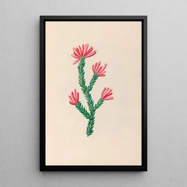 Blumen- und tropische Fruchtdesigns aus Südamerika Pl34 - Charles Empson — gerahmtes Bild an der Wand