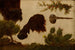 Studie für den verletzten Bisons, Salbeigrüne Hügel, Bisontkopf und Huf, Beerenstein und Kaktus - Charles Ferdinand Wimar — Ansicht des Kunstwerks