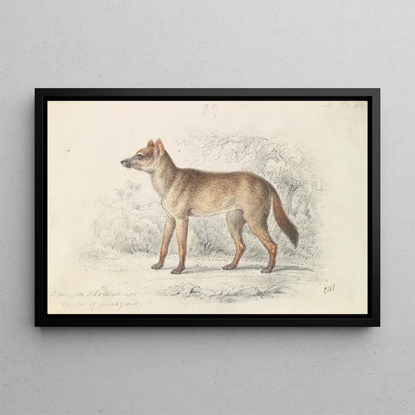 Charles Hamilton Smith - Aguara Dog of the Woods.webp