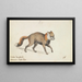 Renard croisé américain - Charles Hamilton Smith — gerahmtes Bild an der Wand
