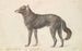 Loup Noir - Charles Hamilton Smith — Ansicht des Kunstwerks