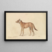 Dhole de Sumatra - Charles Hamilton Smith — gerahmtes Bild an der Wand