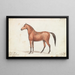 Mädchen mit Quagga-Spuren - Charles Hamilton Smith — gerahmtes Bild an der Wand