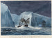 L'Erebus, das durch die Eisbergkette fährt - Charles Hamilton Smith — Ansicht des Kunstwerks