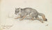 Der graue Fuchs - Charles Hamilton Smith — Ansicht des Kunstwerks