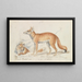 Der syrische Fuchs und der ägyptische Fuchs - Charles Hamilton Smith — gerahmtes Bild an der Wand