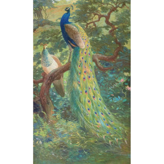 Charles Robert Knight - Indian Peafowl.webp