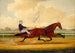 Budd Doble Conduisant Goldsmith Maid am Belmont Driving Park - Charles Spencer Humphreys — Ansicht des Kunstwerks