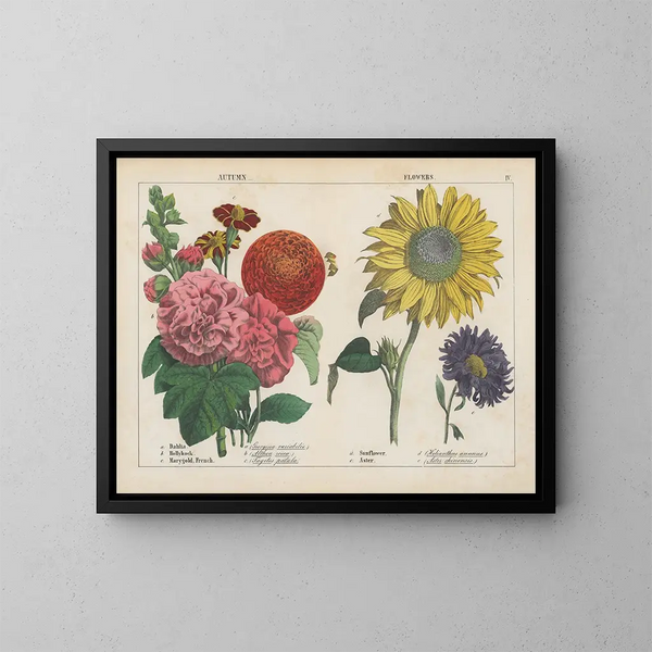 Herbstblumen - Charlotte Mary Yonge — gerahmtes Bild an der Wand