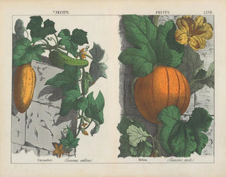 Früchte, Gurke und Melone - Charlotte Mary Yonge — Ansicht des Kunstwerks