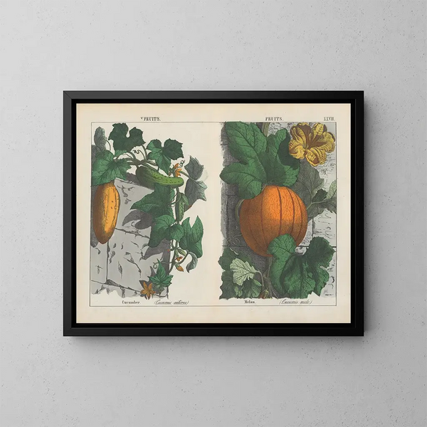 Früchte, Gurke und Melone - Charlotte Mary Yonge — gerahmtes Bild an der Wand