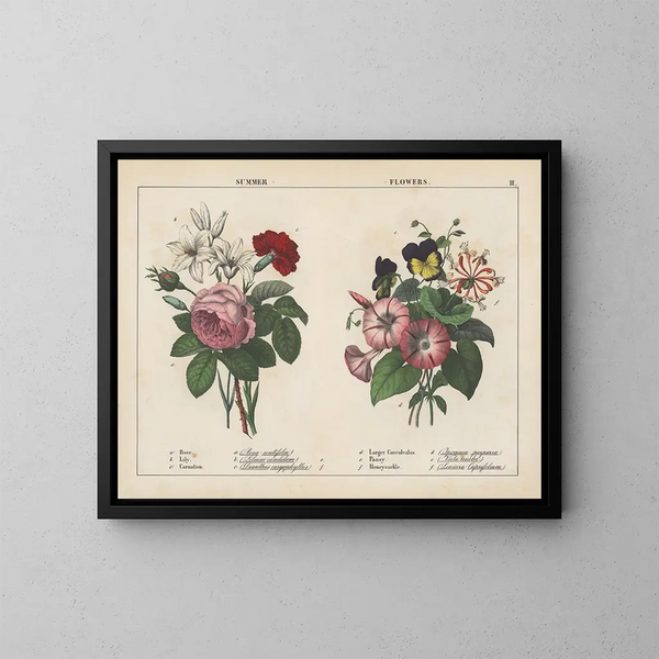 Sommerblumen - Charlotte Mary Yonge — gerahmtes Bild an der Wand