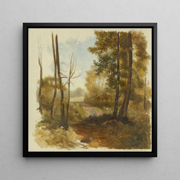 Chemin forestier - Jan Nowopack