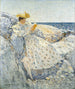 Sonnen Sommer auf den Shoals-Inseln - Childe Hassam — Ansicht des Kunstwerks