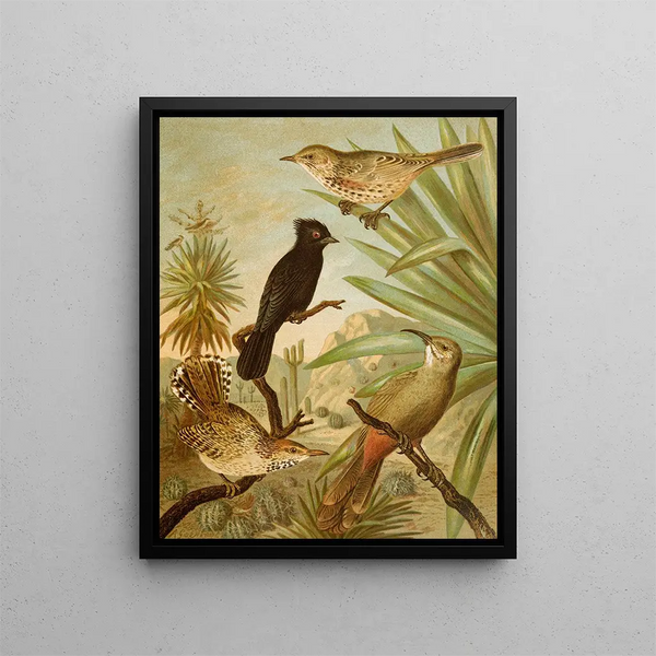 Le monde des oiseaux d'Amérique du Nord pl03 - Christian Anton Goering — gerahmtes Bild an der Wand