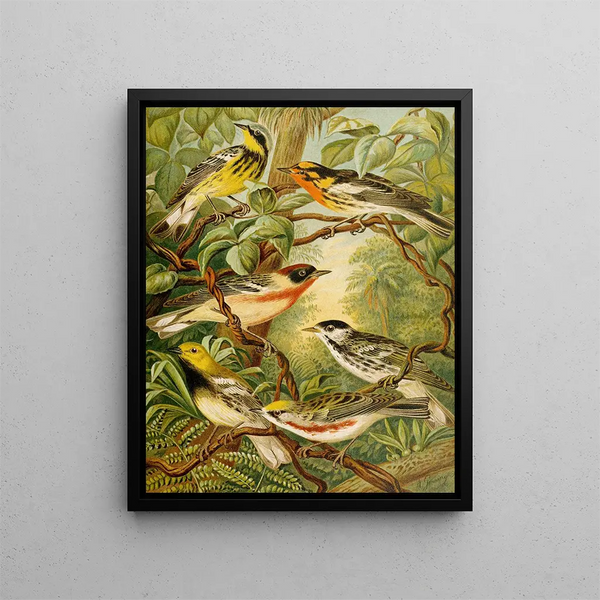 Le monde des oiseaux d'Amérique du Nord pl13 - Christian Anton Goering — gerahmtes Bild an der Wand