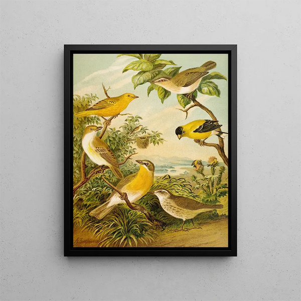 Le monde des oiseaux d'Amérique du Nord pl16 - Christian Anton Goering — gerahmtes Bild an der Wand