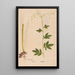 Ectypa vegetabilium Pl023 - Christian Gottlieb Ludwig — gerahmtes Bild an der Wand