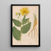 Ectypa vegetabilium Pl059 - Christian Gottlieb Ludwig — gerahmtes Bild an der Wand
