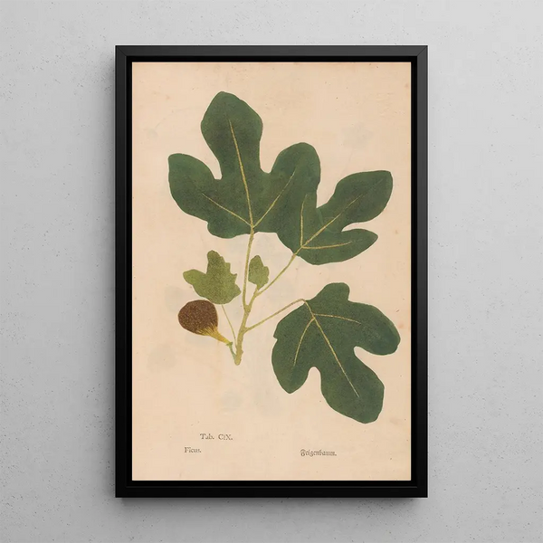 Reproduktion des Gemäldes Ectypa vegetabilium Pl109 - Christian Gottlieb Ludwig