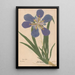 Ectypa vegetabilium Pl112 - Christian Gottlieb Ludwig — gerahmtes Bild an der Wand