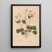 Ectypa vegetabilium Pl133 - Christian Gottlieb Ludwig — gerahmtes Bild an der Wand
