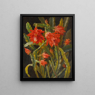 Christian Mllback - Christmas Cactus.webp