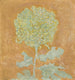 Chrysantheme - Piet Mondrian — Ansicht des Kunstwerks