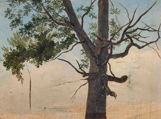Chrystian Breslauer - Solitary tree.webp