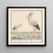 Cigogne Ciconia ciconia - Anselmus Botius de Boodt — gerahmtes Bild an der Wand
