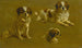 Studie eines King Charles Spaniels - Cercle de Maud Earl — Ansicht des Kunstwerks
