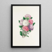 Asters - Clarissa Munger Badger — gerahmtes Bild an der Wand